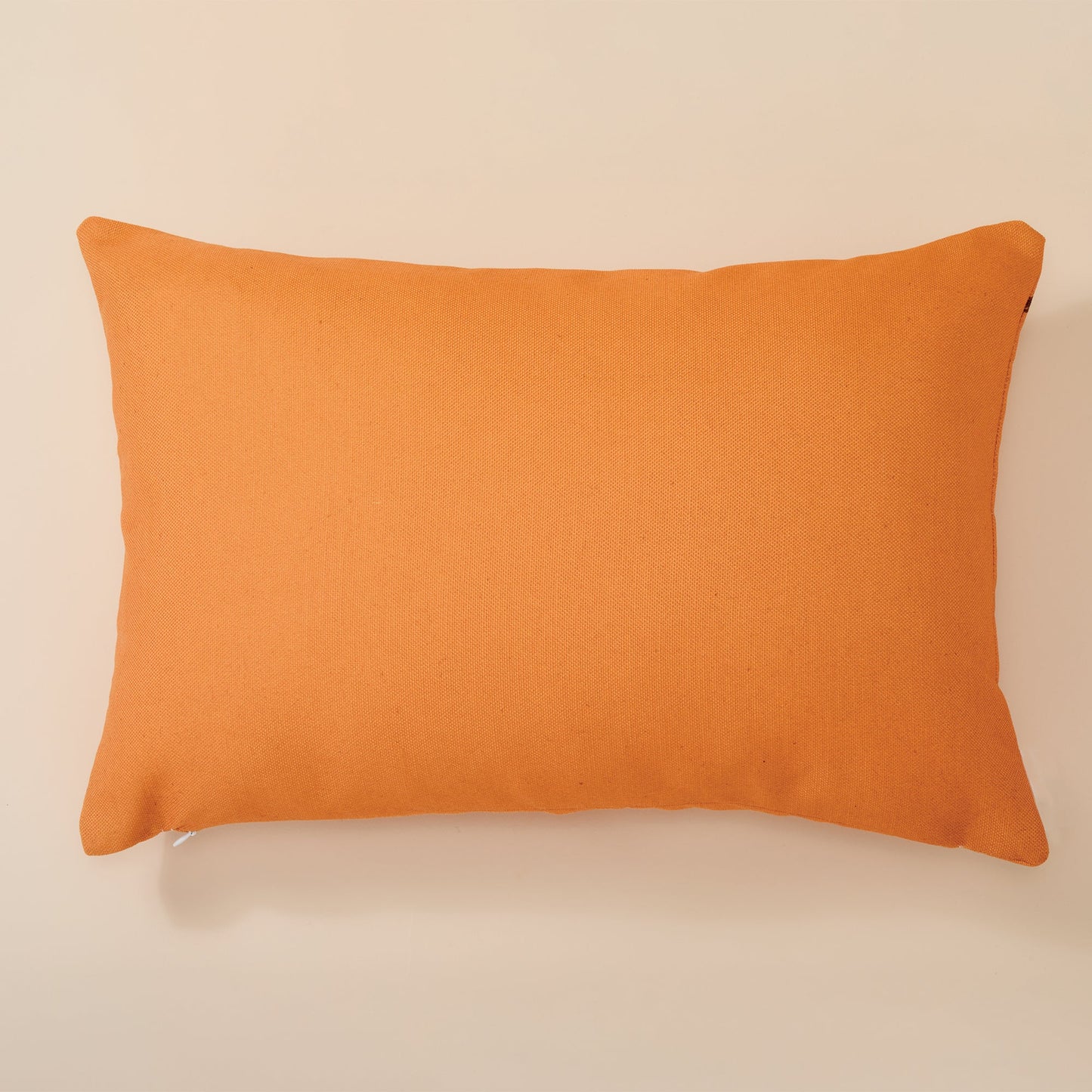 Keeping Watch Pumpkin Pillow